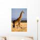 Female Giraffe with Baby Wall Decal