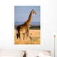 Female Giraffe with Baby Wall Decal