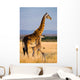 Female Giraffe with Baby Wall Decal