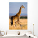Female Giraffe with Baby Wall Decal