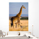 Female Giraffe with Baby Wall Decal
