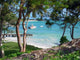 Cayo Levantado Samana Wall Decal