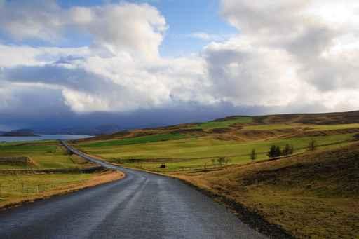 Road Bright Green Fields Wall Decal