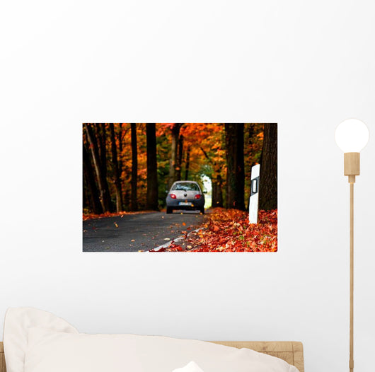 Autumn road Wall Mural