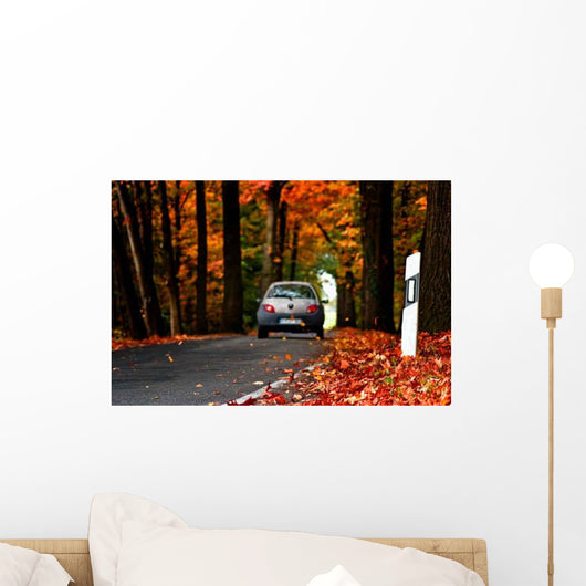 Autumn road Wall Mural