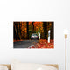 Autumn road Wall Mural