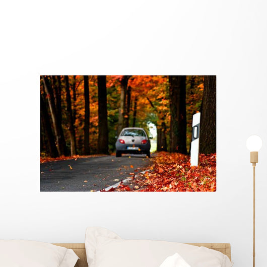Autumn road Wall Mural
