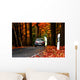 Autumn road Wall Mural