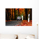 Autumn road Wall Mural