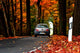 Autumn road Wall Mural