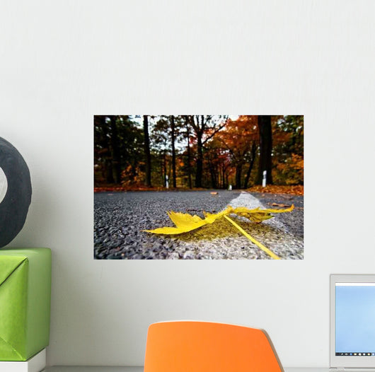 Autumn road Wall Mural