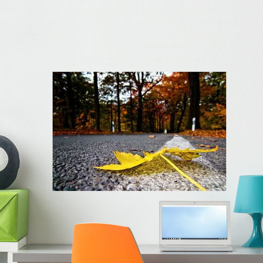 Autumn road Wall Mural
