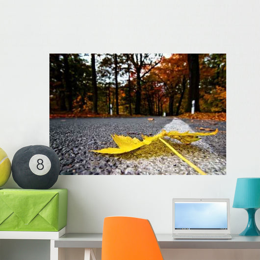 Autumn road Wall Mural