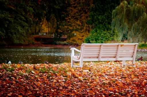 Park im Herbst Wall Decal