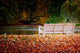 Park im Herbst Wall Decal