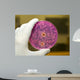 Yeast and Molds Wall Decal