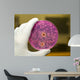 Yeast and Molds Wall Decal