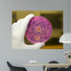 Yeast and Molds Wall Decal