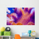 Coral Deep Blue Sea Wall Decal