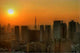 Sweltering Tokyo Wall Decal