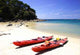 Kayaking Abel Tasman Wall Decal