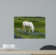 New Forest Pony Grazing Wall Decal