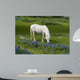 New Forest Pony Grazing Wall Decal
