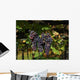 Black Grape Bunch Wall Decal