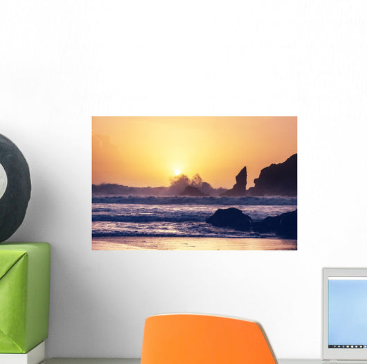 Olympic coast Wall Mural