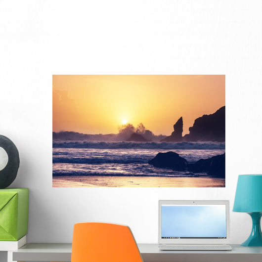 Olympic coast Wall Mural