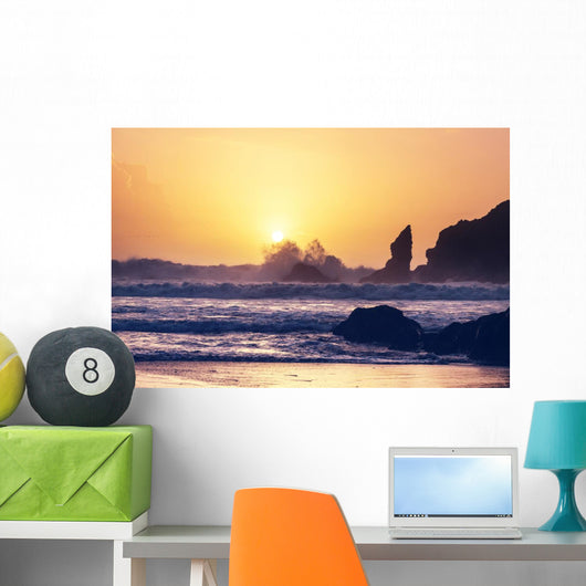 Olympic coast Wall Mural