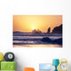 Olympic coast Wall Mural