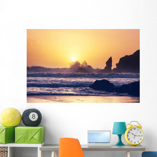 Olympic coast Wall Mural