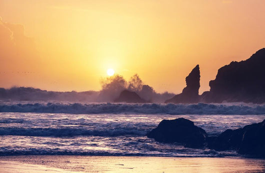 Olympic coast Wall Mural