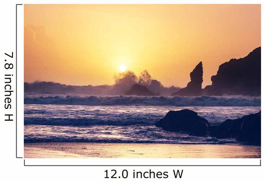 Olympic coast Wall Mural