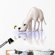 Dog and Bee Wall Decal