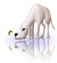 Dog and Bee Wall Decal