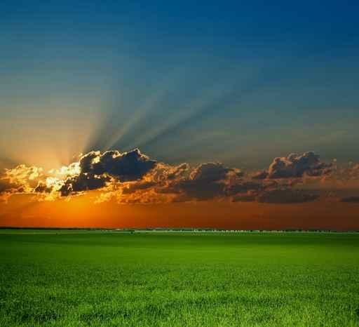 Sunrise Field Image Green Wall Decal