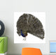 Peacock Wall Mural