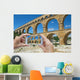 Take Picture Pont Du Wall Decal
