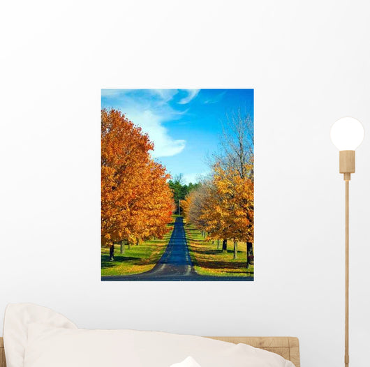 Road Travels between Autumn Wall Decal
