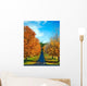 Road Travels between Autumn Wall Decal