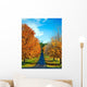 Road Travels between Autumn Wall Decal