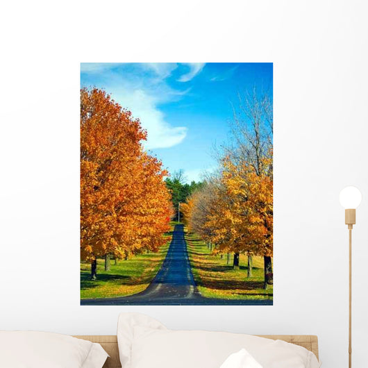 Road Travels between Autumn Wall Decal