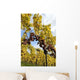 Vineyard D 39 Alsace Wall Decal