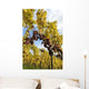 Vineyard D 39 Alsace Wall Decal
