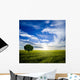 Lonely Tree Sunrise Wall Decal