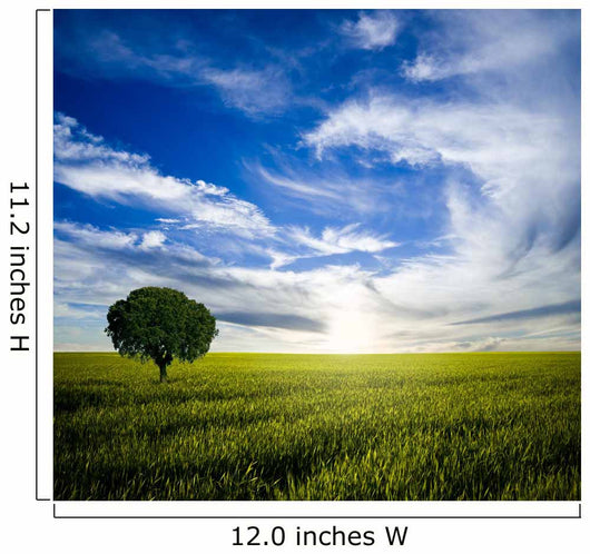 Lonely Tree Sunrise Wall Decal