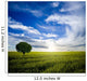 Lonely Tree Sunrise Wall Decal