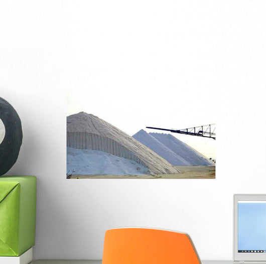 Salt Mine Wall Mural